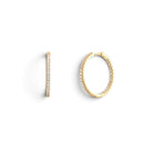 Aros Éternité Oro - Piedra de Toque